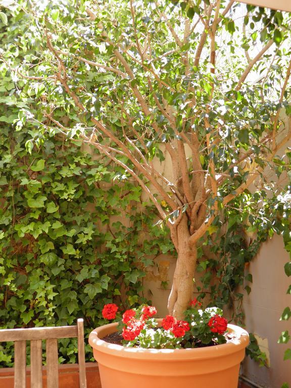 ברצלונה Suitur Courtyard Apartment מראה חיצוני תמונה
